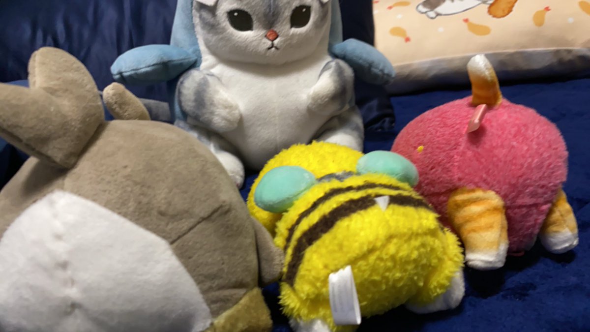 cocoa55a3's tweet photo. こんばんは、こんにちは
サメにゃんｽﾞ♡

#mofusand https://t.co/VmovHH7CIB