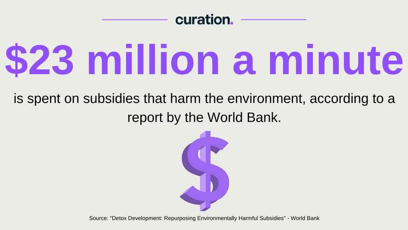 Curation Collective tweet media