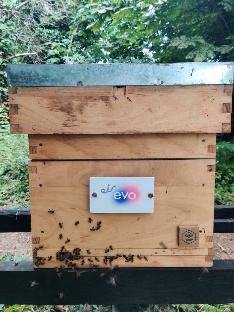 Honey making season is underway and the eir evo hives are being stocked up with extra layers ('supers') to allow the bees more space to store even more honey! 🐝🌸

The final honey harvest will then be taking place later on in the summer, around August 🍯🎉