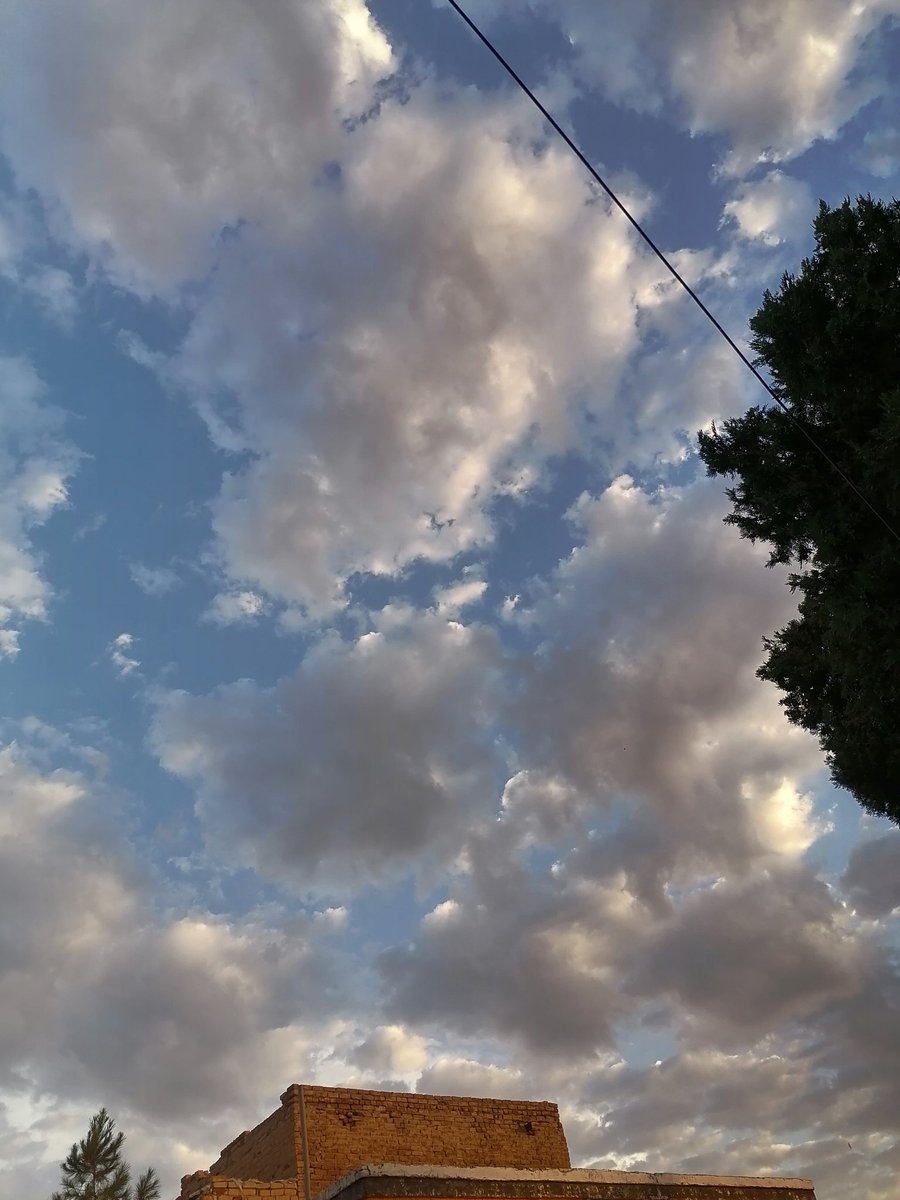 niida_nr's tweet photo. Look up. https://t.co/usTNXCHmsp