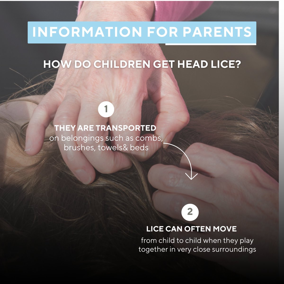 HOW DO CHILDREN GET HEAD LICE? 🕵️‍♀️👶🏻💆‍♀️

Did you know that lice are not attracted to dirty hair? In fact, nothing makes a louse happier than clean hair! 🚿

🐜✨ Lice don't jump, hop, or fly; the only way they move is by crawling.

#ChildHealthTip #HeadLiceFacts #ChildhoodHealth