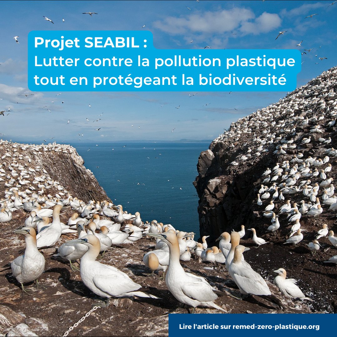 ReMed Zéro Plastique tweet media