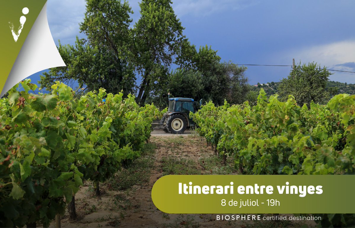 Vilafrancatur's tweet photo. T'esperem a la passejada guiada per veure com han evolucionat els ceps i els raïms i les pràctiques necessàries per a obtenir un raïm madur i de qualitat.
📅08/07
🕛19h
📍Camí de Pacs
🆓Activitat gratuïta
ℹ️ https://t.co/JsFLvWkyqY
#senderisme #natura #entrevinyes #mediambient https://t.co/ACnJDJWAoo