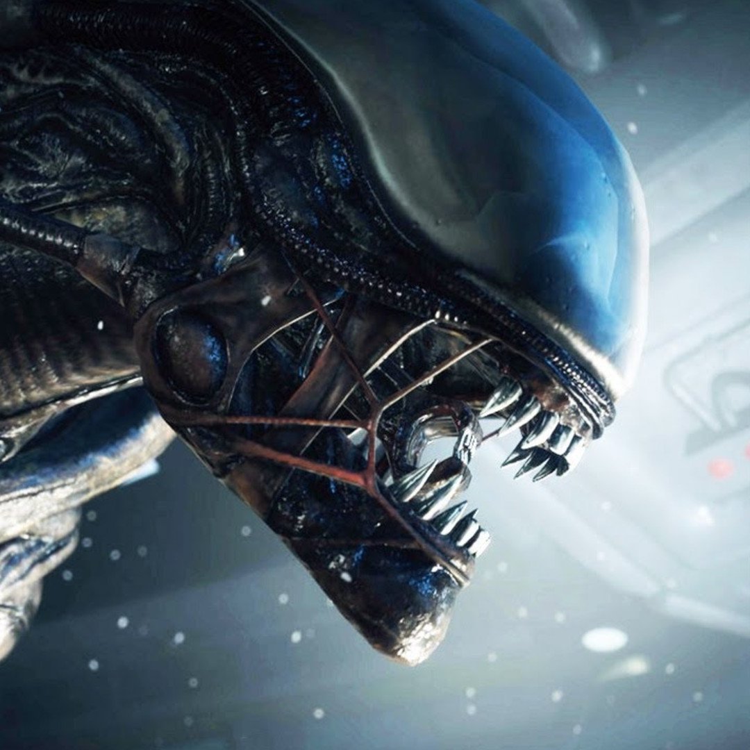 JVCom's tweet photo. Le prochain film Alien a terminé son tournage !

Fede Álvarez (Don't Breathe...) est à la réalisation et Ridley Scott s'occupe de la production.

C'est prévu en août 2024. https://t.co/2MGQ88X3jO
