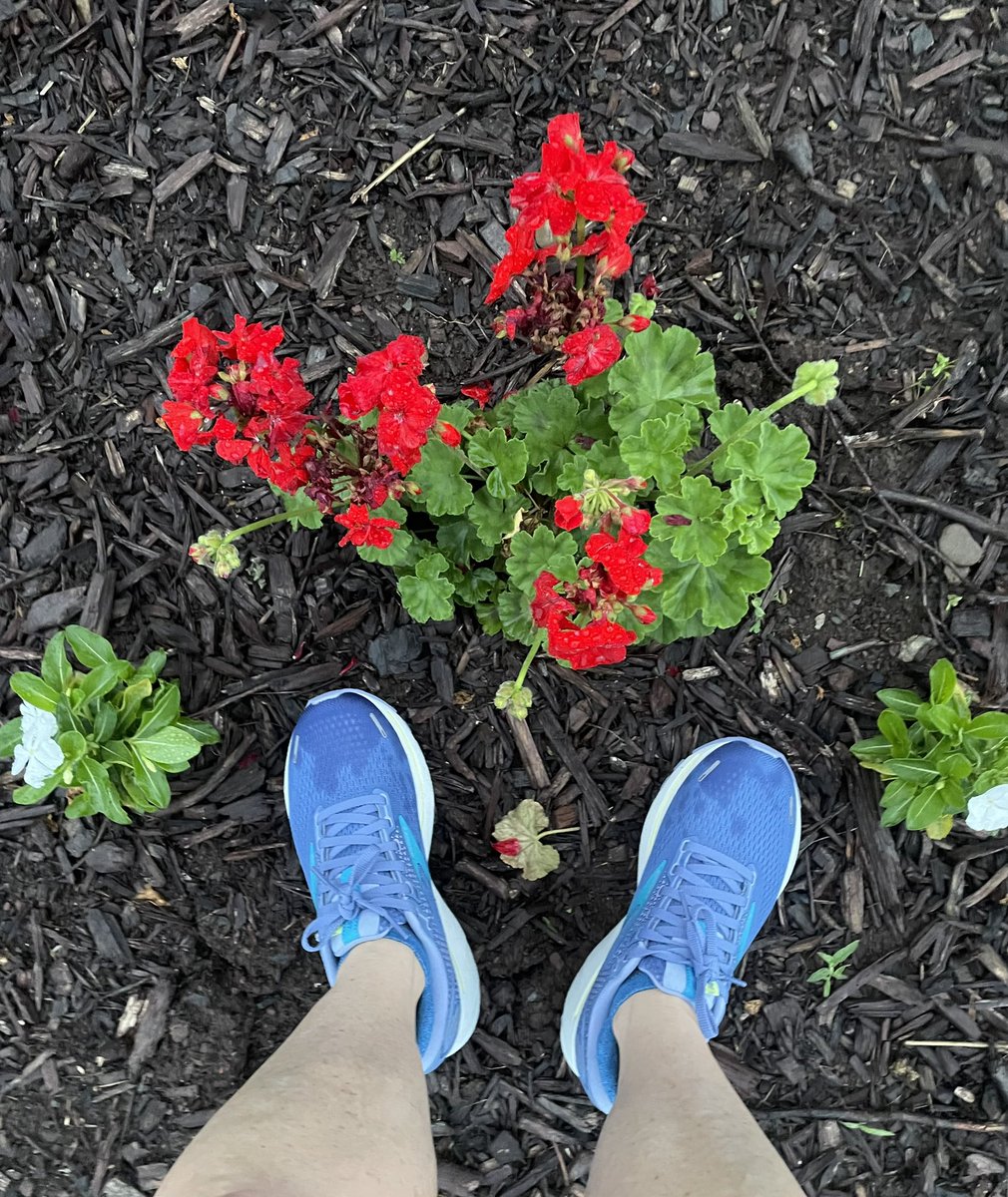 Yay! My new <a href="/brooksrunning/">Brooks Running 💙</a> Ghost 14s arrived. Ready for today’s 5K! Happy Fourth! <a href="/therunchat/">#RunChat 🏃</a> #runchathunt