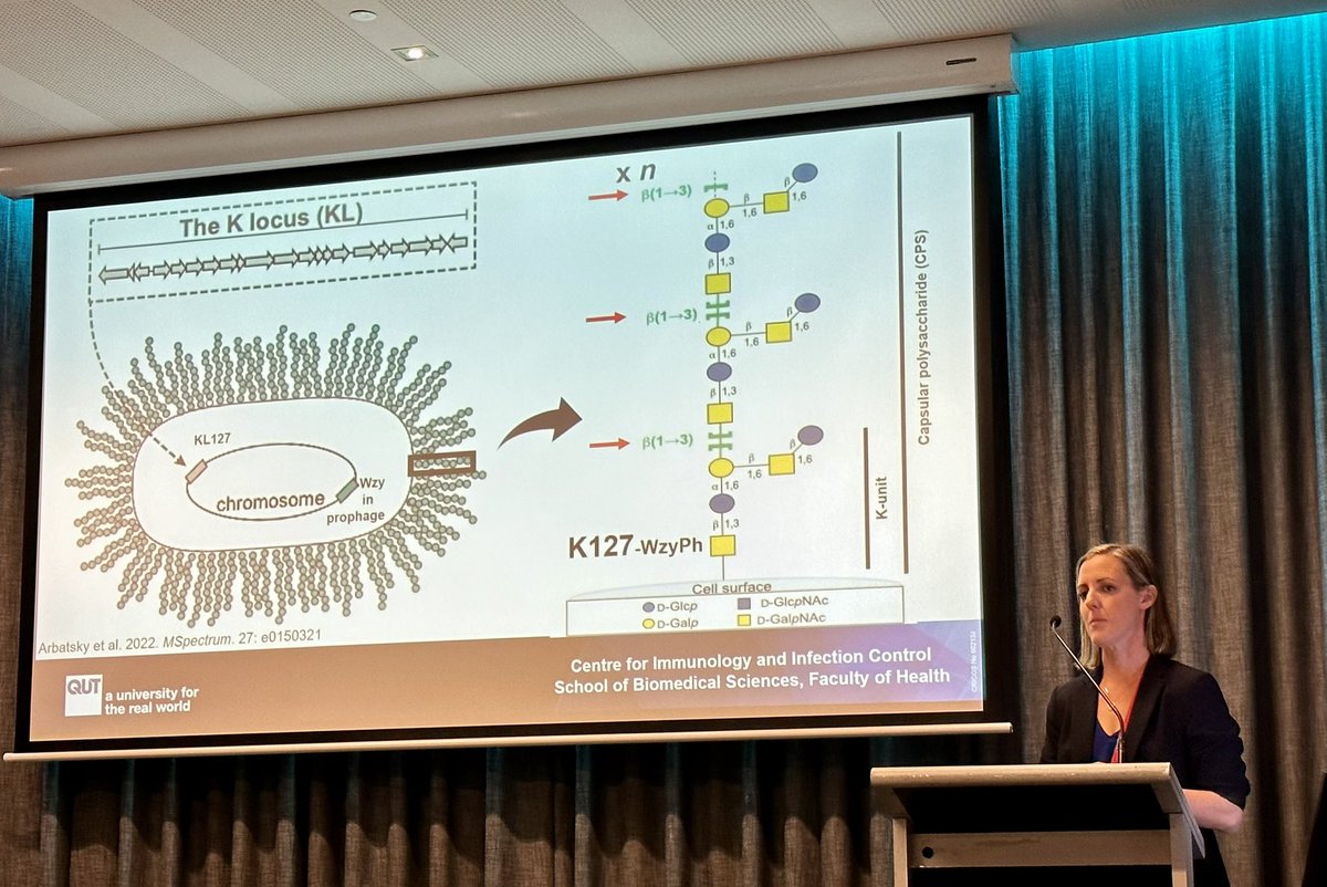 neil_gow's tweet image. Wonderful description of the project leading to description of 241 capsular loci of Acinetobacter baumanii by Johanna Kenyon @AUSSOCMIC #2023asm @jojkenyon Fascinating similarities and differences with fungal EPS biology.