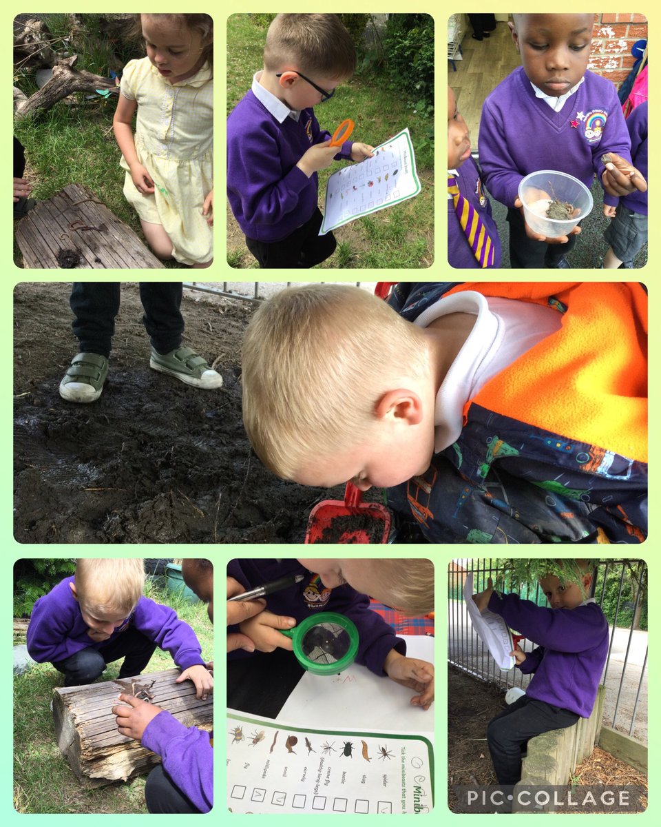 EyfsPrimary's tweet photo. More mini beast madness! 🦋🐜🐌🐛🕷🐞 #minibeasts #explore #reception #rps https://t.co/2xoZWwHjll