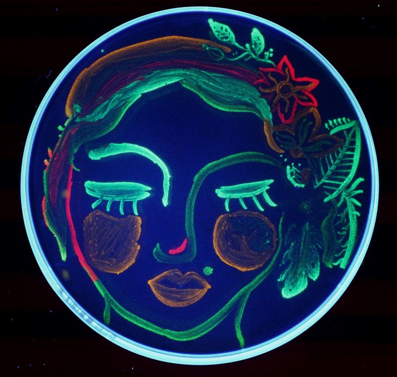 Andrés Yarzábal @microbiotecBM tweet media