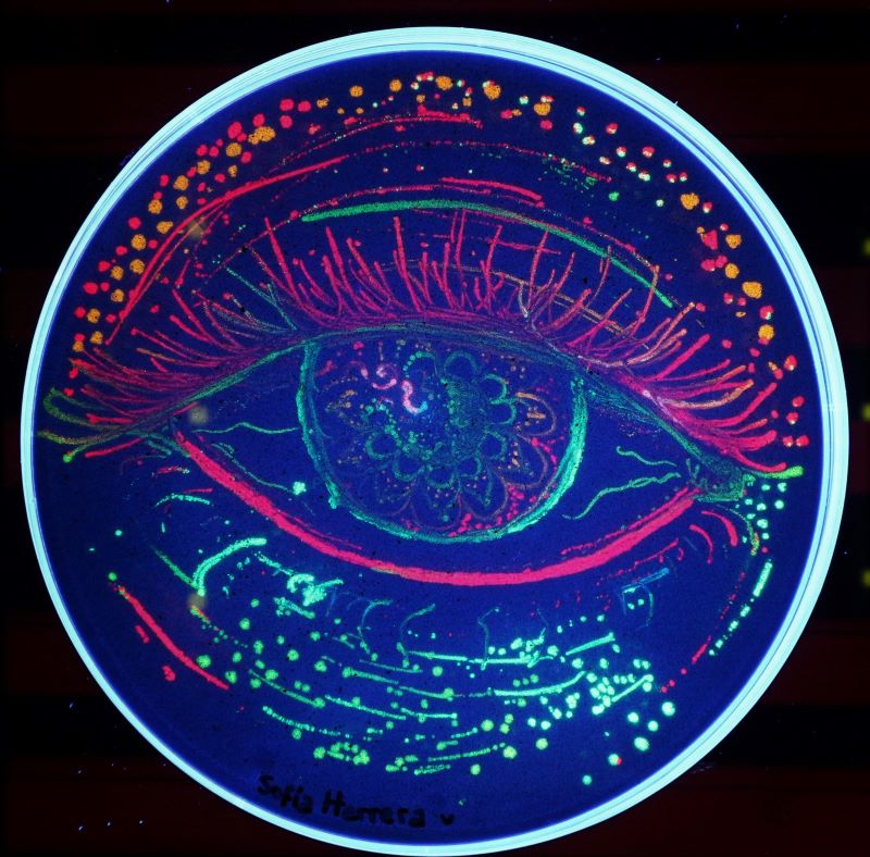 Andrés Yarzábal @microbiotecBM tweet media