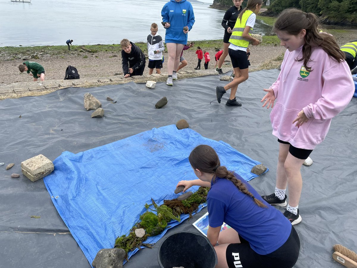 WideySaltram tweet media