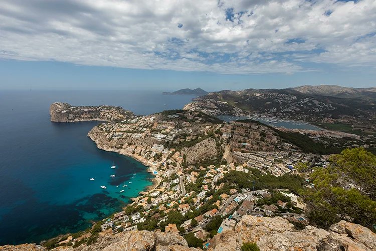 Francisco Ubilla tweet media