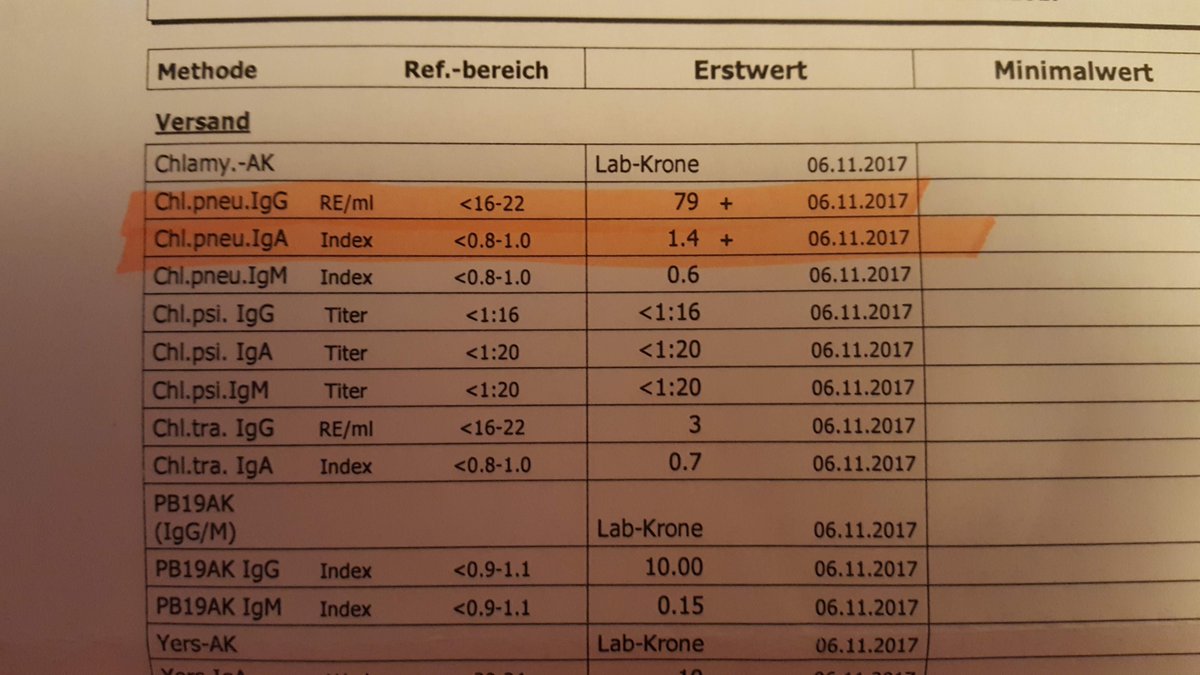 SarahdieK's tweet photo. Erhöhte IgG + IgA Werte bei Chlamydia pneumoniae. Spricht das für eine chronische Infektion? https://t.co/90pSJrwehg