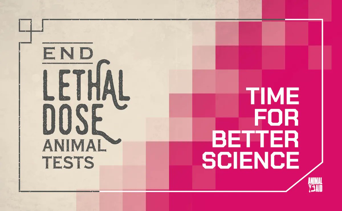 ScaryLittleGs's tweet photo. PETITION: Help End Lethal Dose Animal Tests – It’s Time For Better Science
@animalaid are asking the government and industry to replace the Lethal Dose 50% (LD50, inventted in 1927) tests with science made for the 2020s
Will you add your name?
https://t.co/PzZoUTjBx5 #EndLD50 https://t.co/4B8Cw6Y3XW