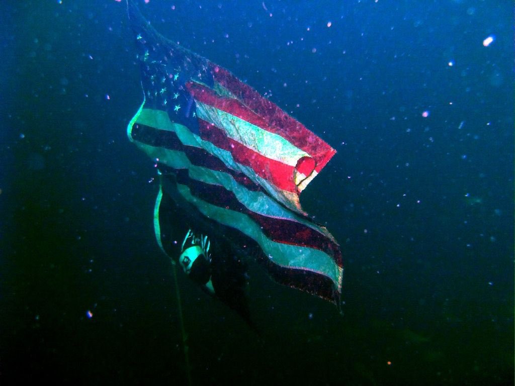 TheReal_EEE's tweet photo. Happy 4th of July! #ScubaDivingAdventure #UnderwaterExploration #DiveIntoTheBlue #OceanDiscovery #DeepSeaDiving #ExploreUnderwater #DiveLife #UnderwaterWorld #NAUIdivers #DiveWithNAUI #scuba #scubadiving https://t.co/EBk9MLPRZ2