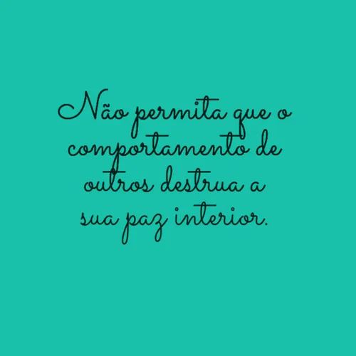 drymonallisa's tweet image. Bom dia🌺🌺🌺