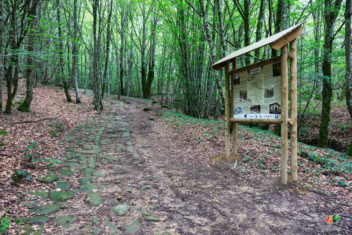 sakana_eus's tweet photo. ยฟAรบn no conoces la "#GR323 #Beronoa"? ๐ค
๐๐ถโโ๏ธEl recorrido revaloriza la calzada medieval de #Bernoa, usada hasta el XIX por los #Arrieros para transportar materias primas hasta la costa y viceversa.
๐Todo un paseo por la historia de #Sakana. ๐ฃ
โน https://t.co/TN5biiv5lb https://t.co/9PJn4sSVVv