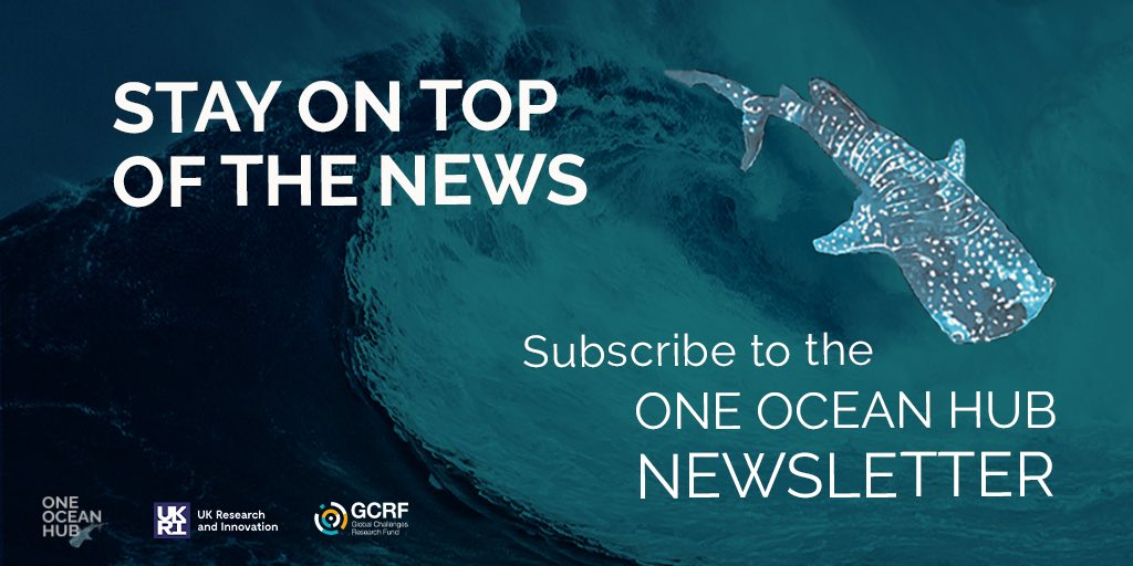 OneOceanHub's tweet photo. 🐚Stay in touch with what’s happening with the ocean, with updates broadly every six weeks.
Subscribe to our latest newsletter here https://t.co/zCLnYjActO
#SDGs #SDG14 #newsletter #oneocean #oceangovernance #oceanclimatenexus #ocean https://t.co/gCkKbwuKkW