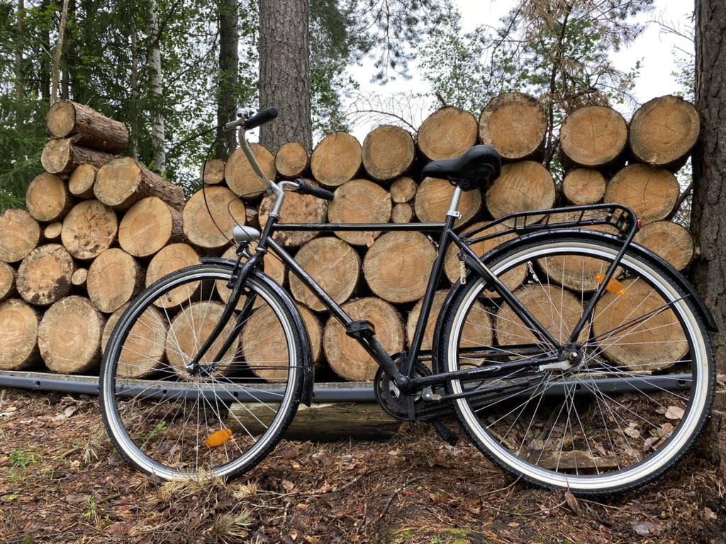 Hyvää kesää elämäntapapyöräilijöille ja ei-sellaisille! 
#tukkipävitys #savo #ralegh #loma