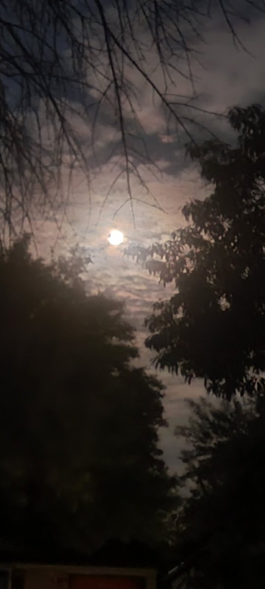 oldsheepdog_ay's tweet image. Current status. Moon is looking elegant. 
#Moonenergy 
#Moonpower
#Moonvibes 
#southaustinliving 
#southaustinrocks