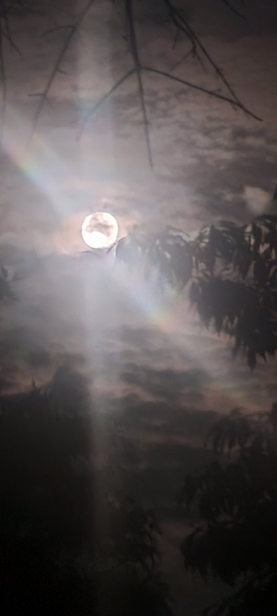 oldsheepdog_ay's tweet image. Current status. Moon is looking elegant. 
#Moonenergy 
#Moonpower
#Moonvibes 
#southaustinliving 
#southaustinrocks