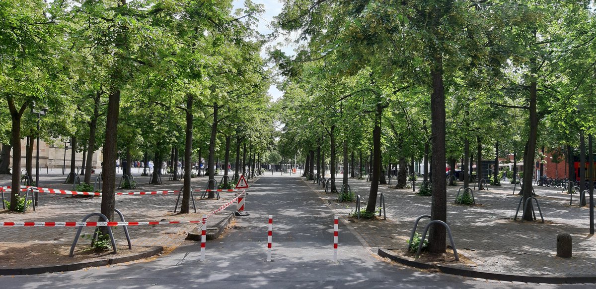 Domplatz in #Münster #autofrei: Was für ein schöner Anblick! Danke <a href="/muenster_de/">Stadt Münster</a> für diesen sinnvollen Beitrag zur #Verkehrswende!