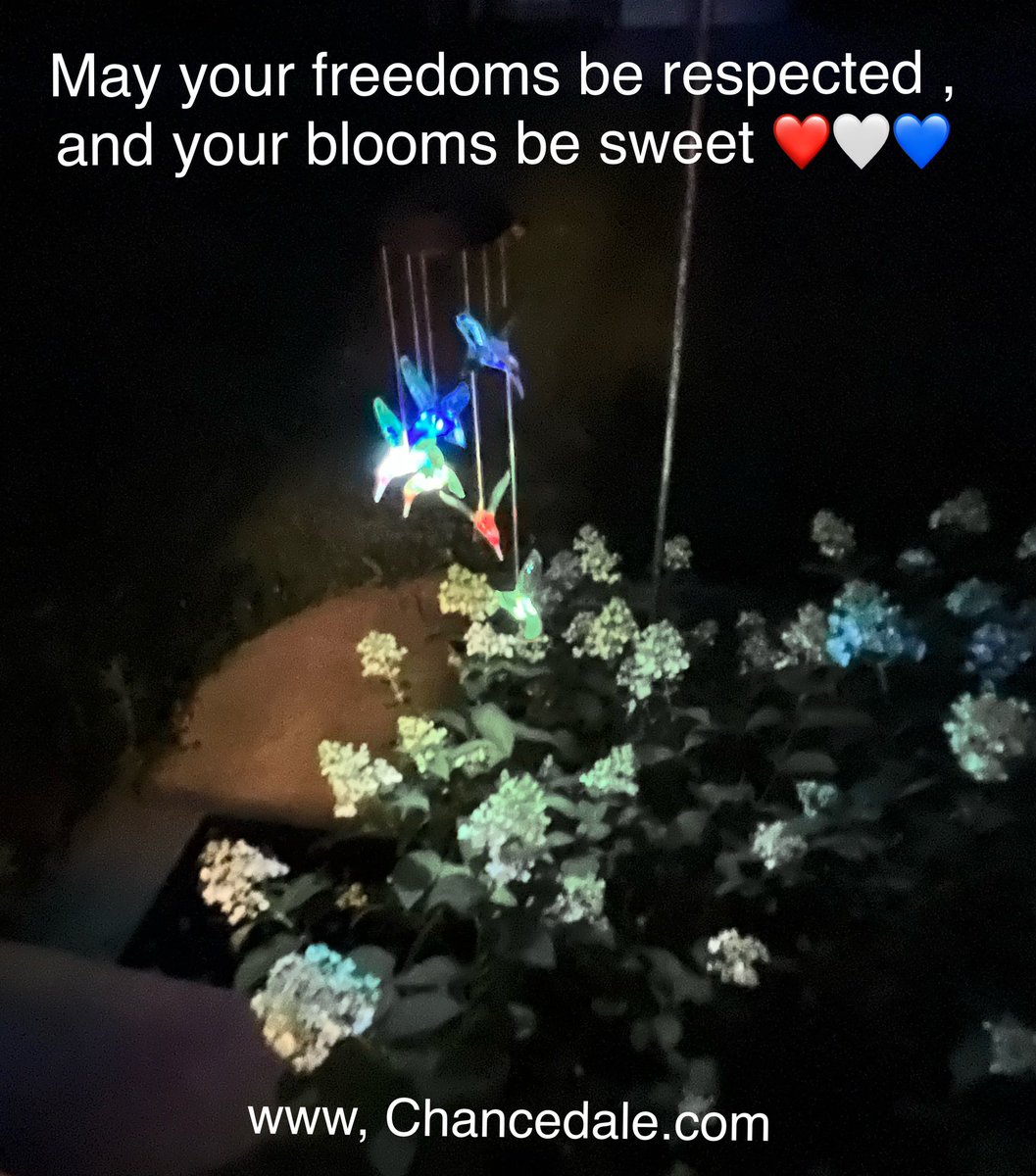 To all of my Stateside friends and those deployed- Happy Independence Day. For the others Happy Tuesday- I hope your Monday sailed by❤️🤍💙<a href="/PsychicYankee/">🔮CryptoPsychic</a> <a href="/ChancedaleNFT/">Chancedale</a> <a href="/YankeeUnMuted/">YankeeUnMuted</a> 
<a href="/Chance_Takers/">Chance Takers</a> <a href="/DeniseBach13/">Denise Bach</a>