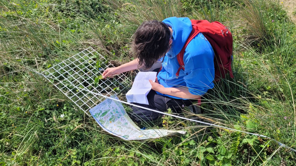 huttonsixthform's tweet photo. Last Thursday the second group of year 12 Biology students went to Ainsdale Beach to carry out some fieldwork studying sand dune succession.  Despite the variable weather a great time was had by all! https://t.co/4xFpxGaK6s