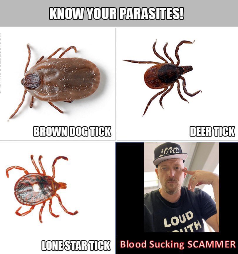PumperDumper tweet media
