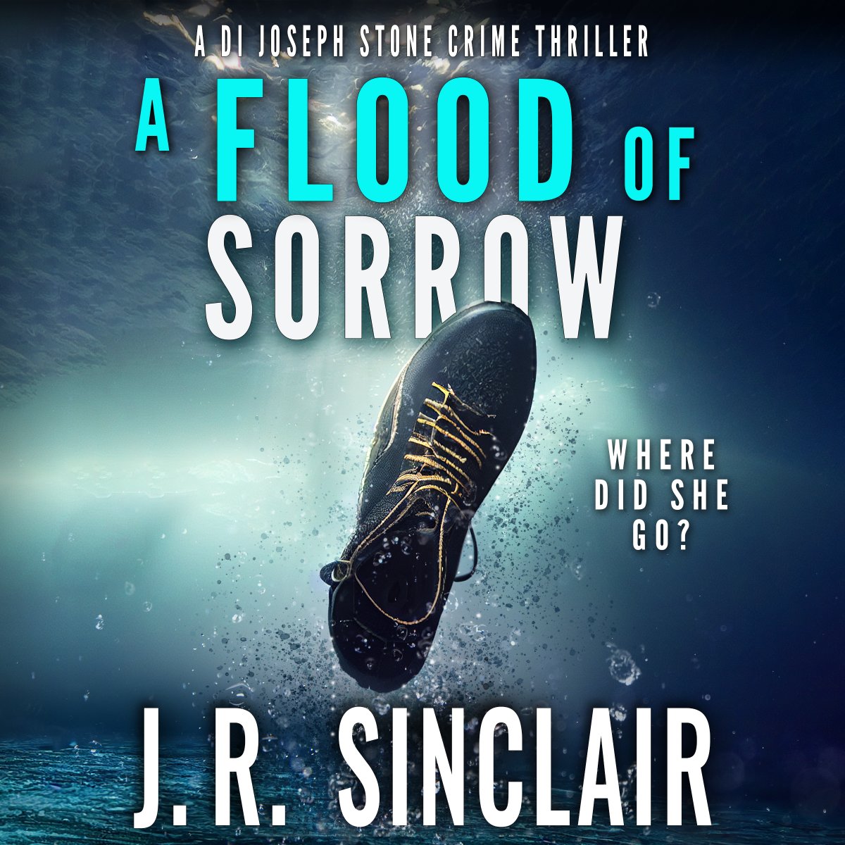 JRSinclairBooks tweet media