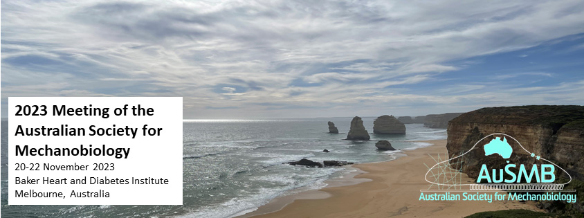 Calling all mechanobiology enthusiasts! Program and registration details for our annual AuSMB meeting Nov 20-22nd in beautiful Melbourne can be found 👇👇👇👇👇👇
2023mechanobiologymeeting.com