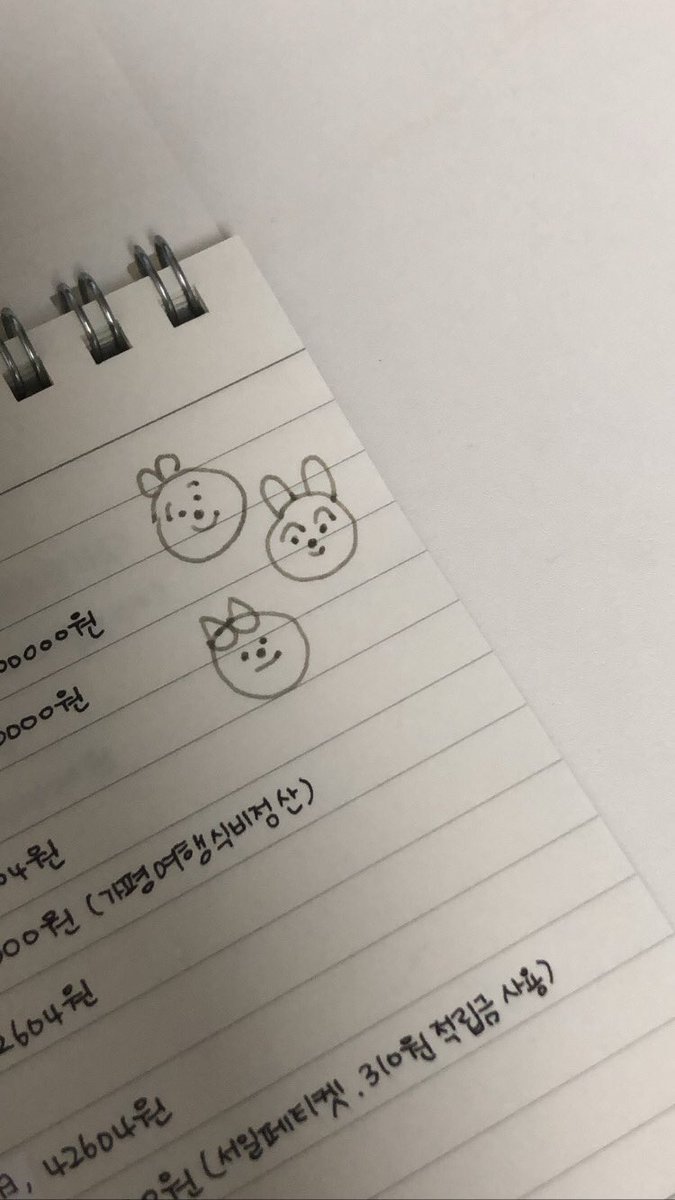 가계부 쓰기 도전 ᜊʕ ྀི ܸ. . .ܸ ྀིʔᜊ 이번달엔 꼭 컴퓨터 바꾸기!