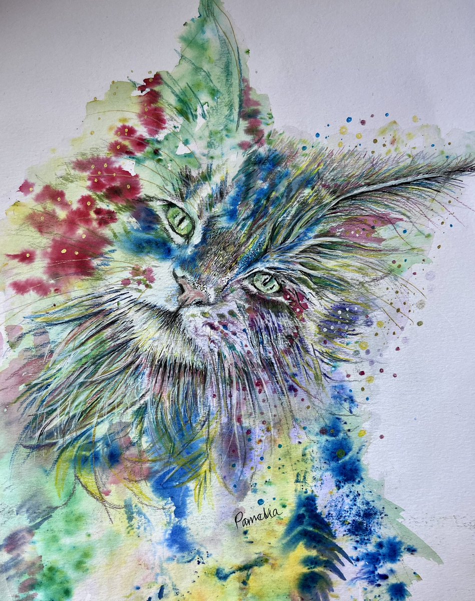 PamWeeden's tweet photo. ‘The Other Side of Avery’. Capturing the gentleness that exists in my beautiful feisty girl. Art over weekend space is how I protect a healthy wellbeing. #CatsOfTwitter #RescueCats #ArtistOnTwitter #Ink #MixedMedia #Wellbeing #WorkLifeBalance https://t.co/ue7qxAuruL