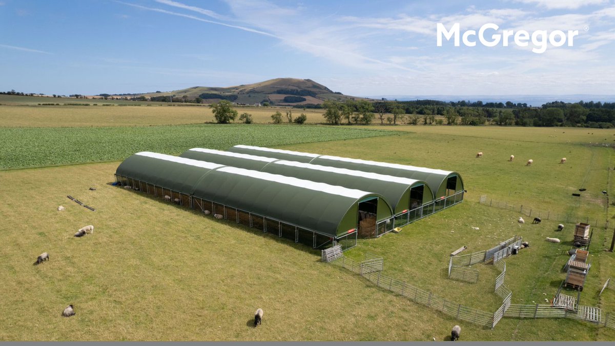 mcgregoragri's tweet image. Upgrade to high-welfare livestock housing on your farm with Agri Span™! Made in the UK to the highest production standards, elevating sustainability and productivity in your farm. Learn more: mcgregoragri.com/agrispan/ #AgriSpan #FarmUpgrade #McGregor