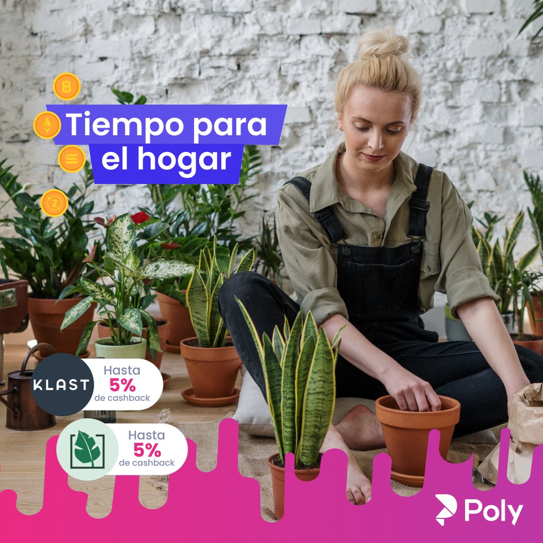 Poly Cashback tweet media