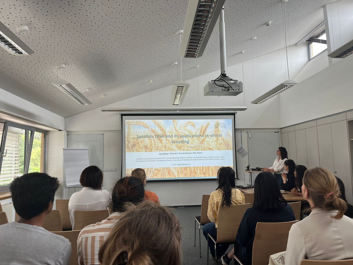 AnaGalvezGalvan's tweet photo. A pleasure to be able to share with #PSSC2023 participants my thesis results, exchange views and new ideas: Satellite DNA and its application in wheat breeding. #wheatbreedig #cerealbreeding #phdstudent @wheatmeiosis @IAS_CSIC @ipk_psb https://t.co/7VsiGHPadw