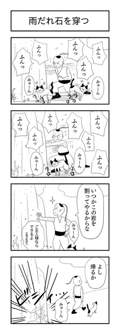 雨だれ石を穿つ
#4コマ漫画 #漫画が読めるハッシュタグ #猫 #修行 