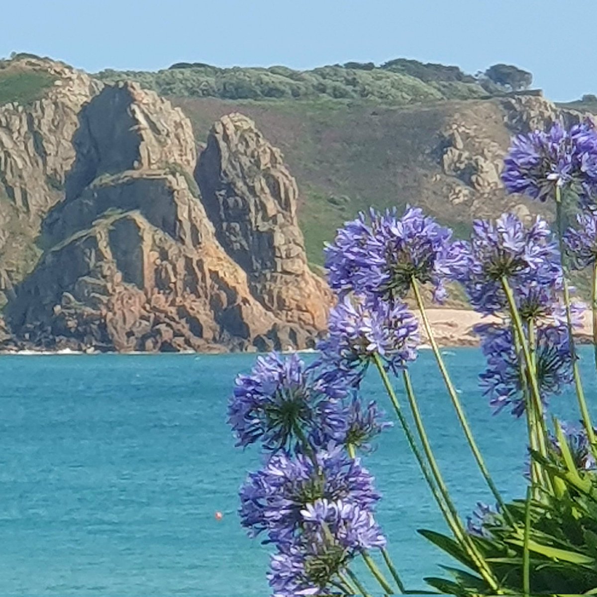 Lillies and #LaCotte