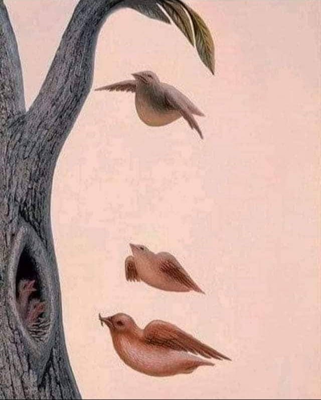 Ressam öyle bir resim yapmış ki resme iki açıdan dikkatli bakın ! Muhteşem😀