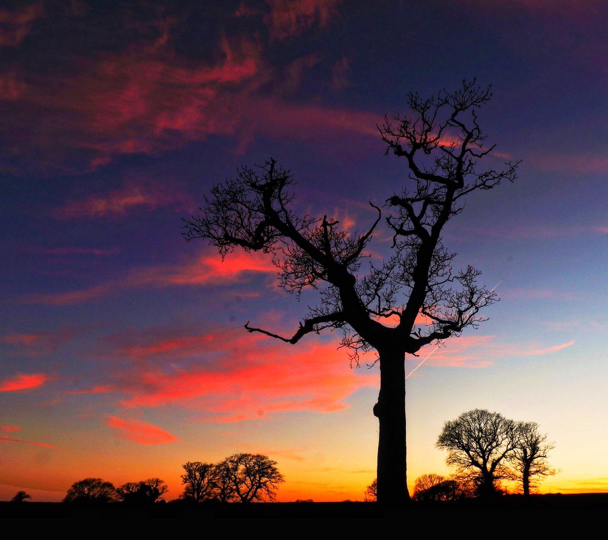 William Hulbert Photography tweet media