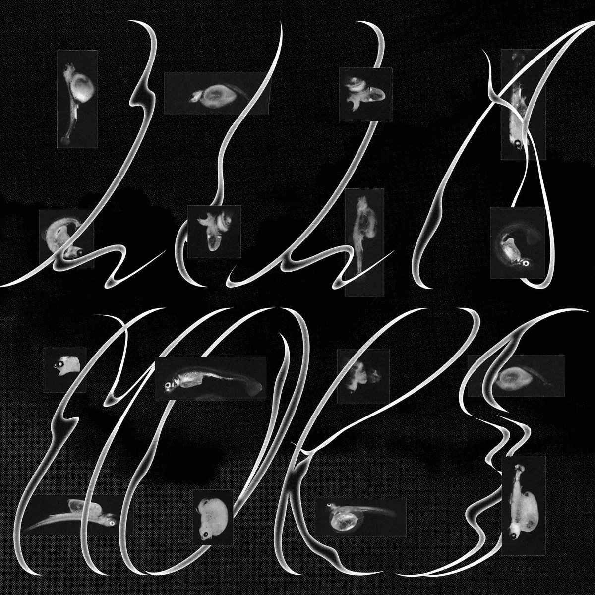 Lilamors - When I Am Dead, My Dearest #albumoftheweek

Vokalistka Ana Čop in Thilo Seevers, klavir ter Jaka Arh, elektronika združujejo glasbene in tematske kontraste ter v ospredje postavljajo teme, ki so v sodobnem življenju pogosto odrinjene na obrobje

bit.ly/3NWlJbg