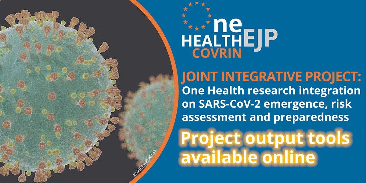 How did the #OHEJP respond to the #COVID #pandemic? Joint Integrative Project #COVRIN provided #OneHealth research integration on #SARS-CoV-2 emergence, risk assessment & preparedness. Led by @WimvanderPoel1 &
 @Daniel_L_Horton 👀COVRIN outputs/outcomes👇​ow.ly/goVv50OWUyi