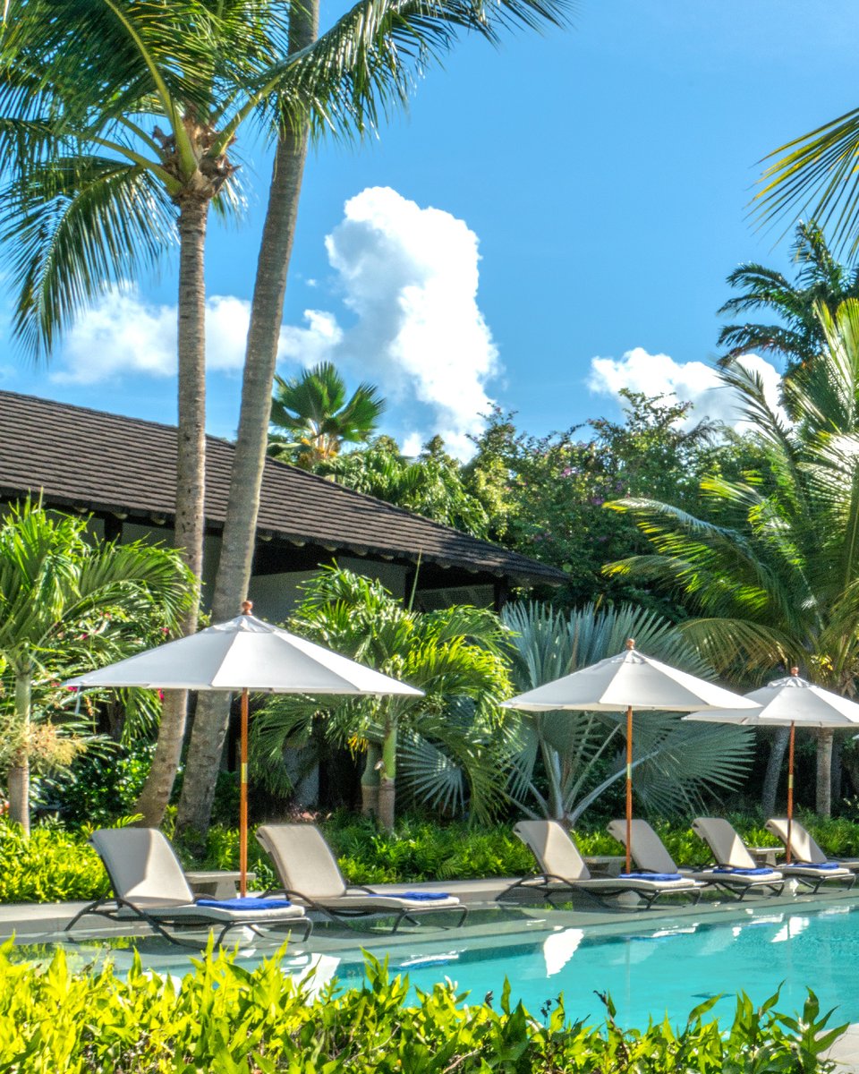 The Sandpiper tweet media