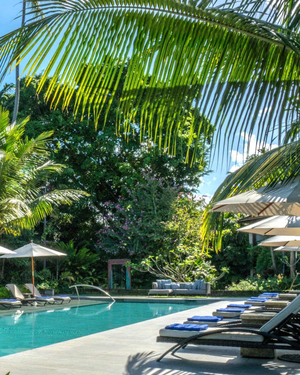 The Sandpiper tweet media