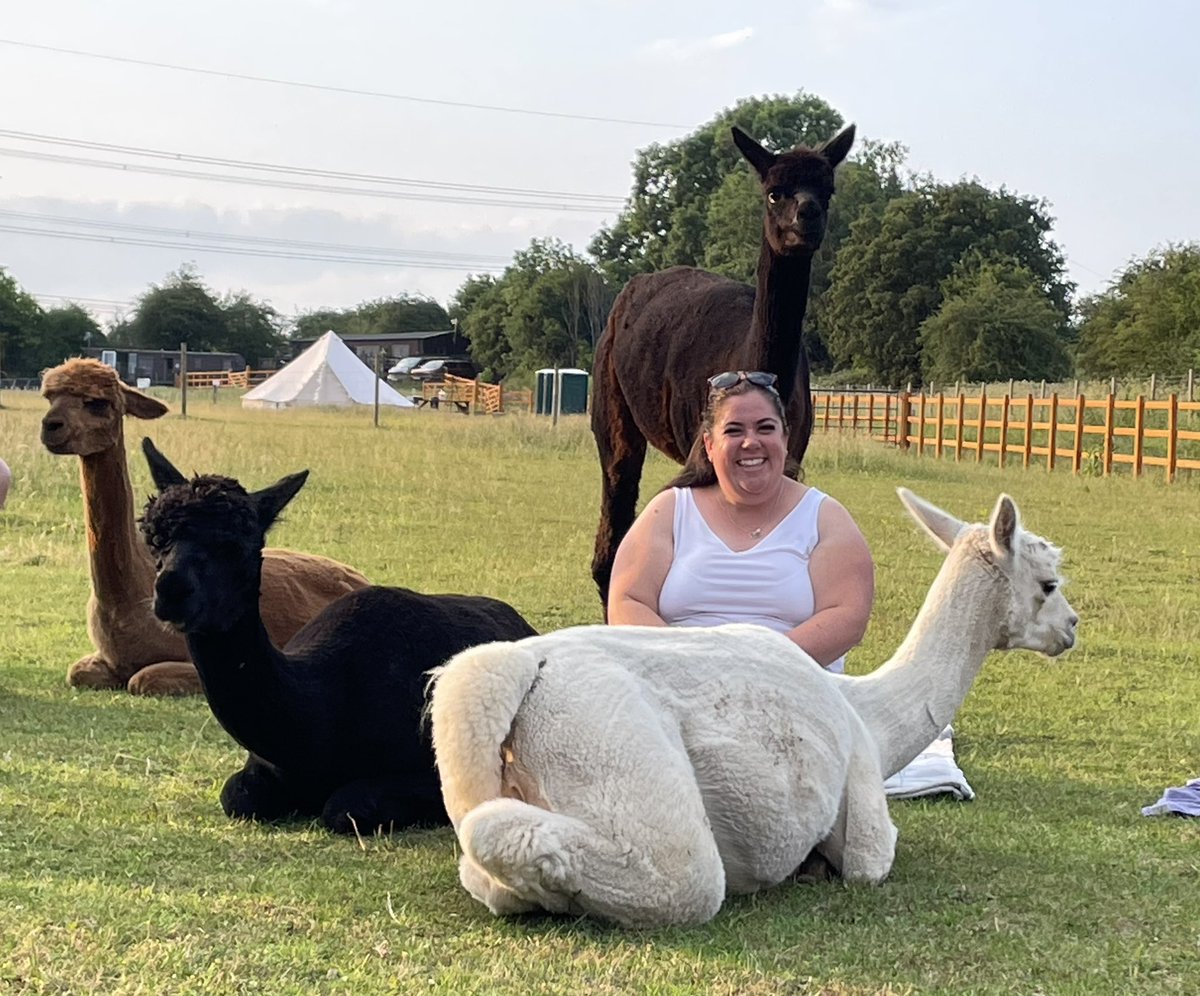 LucyColbourne4's tweet photo. Alpaca yoga every Thursday evening 💛✨💛 message 07738 003650 for all the info and to come join in the fun 🦙🧘‍♀️🦙 #tickhillalpacas #lucycolbournesyogicubs #doncasterisgreat #selfcare #alpacayoga https://t.co/KBqczGjQnm