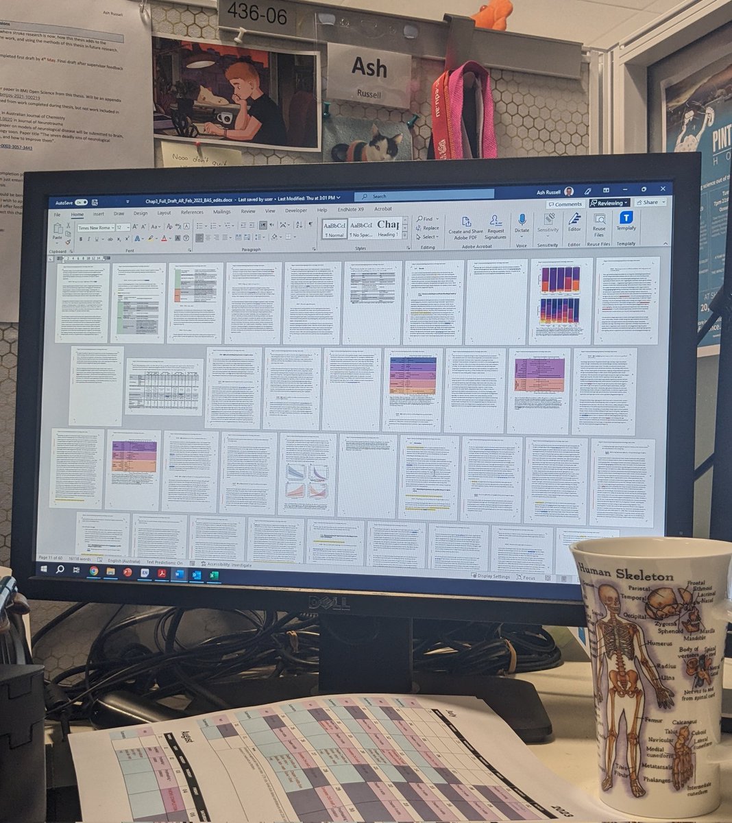 If you don't hear from me in a month, this is why: currently editing my thesis and planning to complete in ~4 weeks. 
So close. 
#phdlife