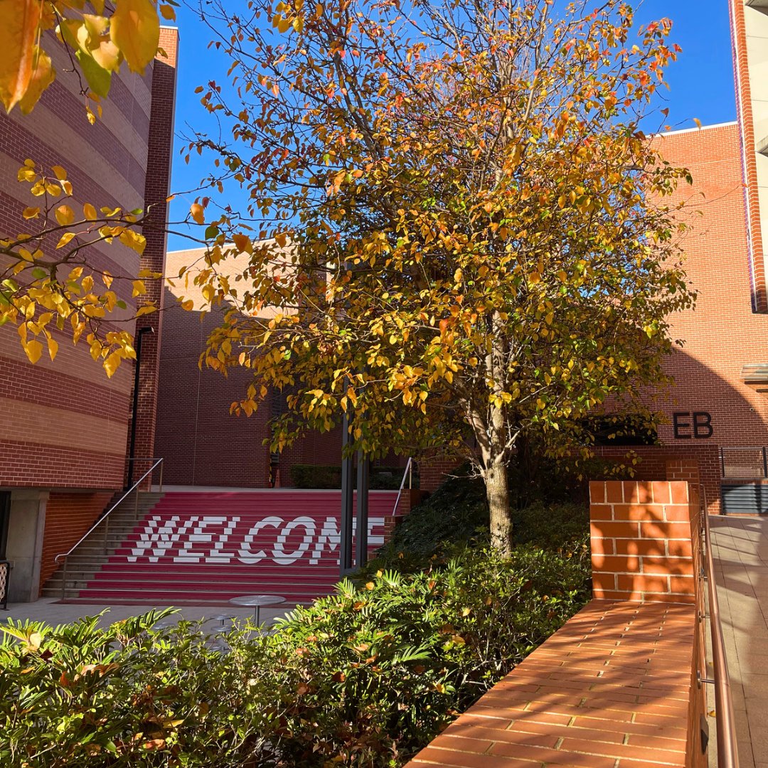 westernsydneyu's tweet photo. That's a wrap on #semester1 & June 🍂 #junephotodump https://t.co/Fiy9sWctxk