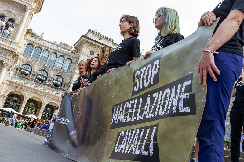 anna mosca tweet media