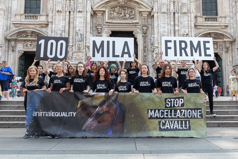 .<a href="/MinisteroSalute/">Ministero della Salute</a>, oltre 110mila persone hanno firmato la petizione per chiedere #stopmacellazionecavalli in Italia. Fate la cosa giusta, fermiamo questa pratica crudele.