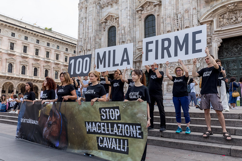 .@BiancofioreMiky, @ugocappellacci: vi chiediamo di supportare le istanze di più di 110mila cittadini che hanno espresso il loro volere contro la crudele macellazione dei cavalli in Italia. #stopmacellazionecavalli