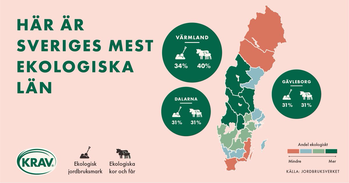 Värmland kammar hem vinsten, för tredje året i rad, i KRAVs samlade ekorankning för 2022 där både djur och jordbruk ingår! Totalt 40% av djuren i länet var ekologiskt hållna och 34% av jordbruksmarken användes för ekologisk odling och bete förra året. krav.se/aktuellt/kravs…